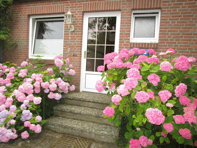 Ferienwohnung in Fehmarn - "Haus am Apfelbaum", Wohnung 1 - Bild 7