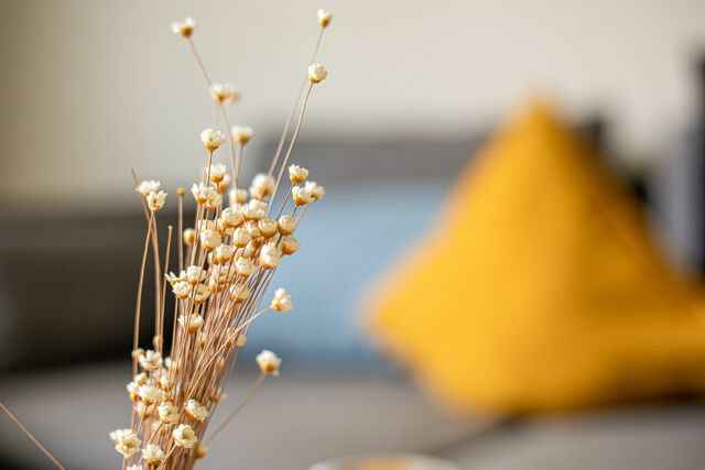 Ferienhaus in Sellin - Ferienhaus Seeherz - Bild 8