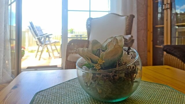 Ferienwohnung in Baabe - Moritzblick - Bild 7
