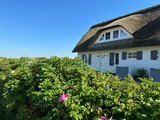 Ferienhaus in Zierow - Reethaus "Seekrabbe" - Bild 20