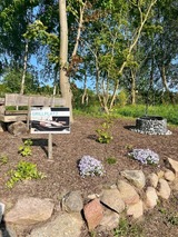 Ferienwohnung in Mariendorf - Naturidyll Mariendorf - Ferienwohnung Schafberg - Bild 16
