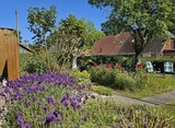 Ferienhaus in Fehmarn OT Gammendorf - Meeresruh mit Hund - Bild 17